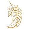 Icono 5